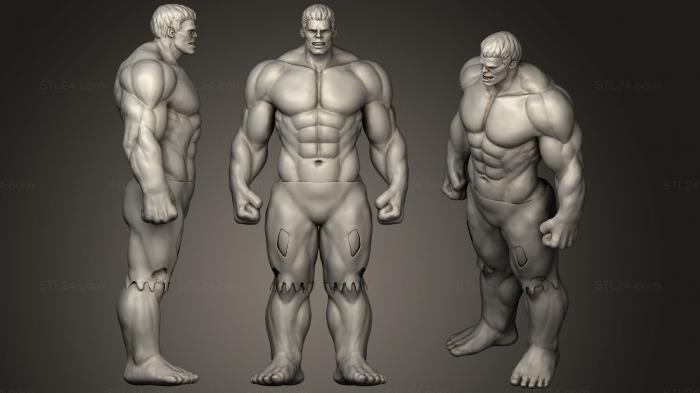 Figurines heroes, monsters and demons (Hulk Fan Art, STKM_1456) 3D models for cnc